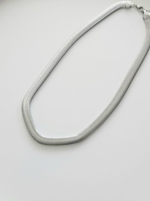 Çelik Balıksırtı Kolye Silver