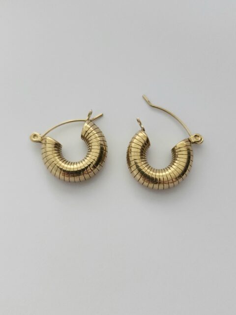 Midye Burgu Halka Çelik Küpe